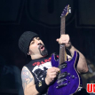 Alter Bridge, with special guests Like A Storm, Gojira and Volbeat