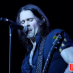 Alter Bridge, with special guests Like A Storm, Gojira and Volbeat