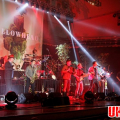 Bellowhead