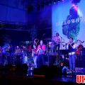 Bellowhead
