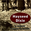 Hayseed Dixie