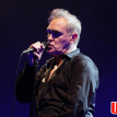 Morrissey