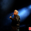 Morrissey