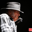 Neil Young with Promise Of The Real