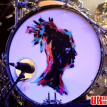Newton Faulkner