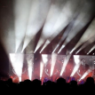 Placebo