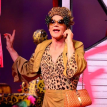 Priscilla Queen Of The Desert