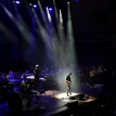 Steve Hackett