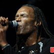 The Beat Featuring Ranking Roger