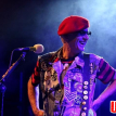 The Damned