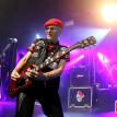 The Damned