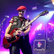 The Damned