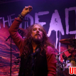 The Dead Daisies