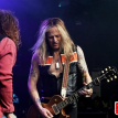The Dead Daisies