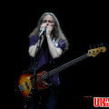 The Eagles