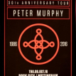 The Mission supported by Peter Murphy