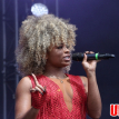 The Newark Festival