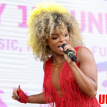 The Newark Festival