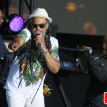 The Newark Festival