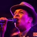 The Selecter and The Beat Featuring Ranking Roger