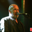 The Skids