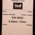 The Skids