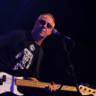 The Skids