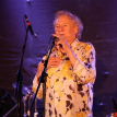 The Strawbs