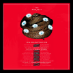 The Wombats